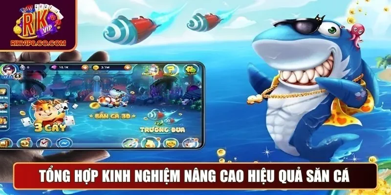 Tổng hợp kinh nghiệm nâng cao hiệu quả săn cá